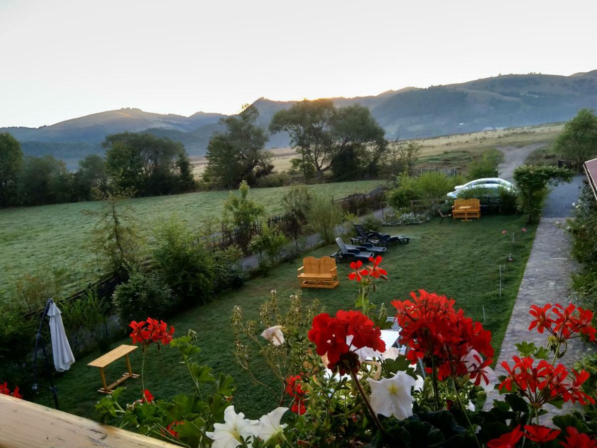 Pensiunea Poezii Alese Valea Draganului Luaran gambar